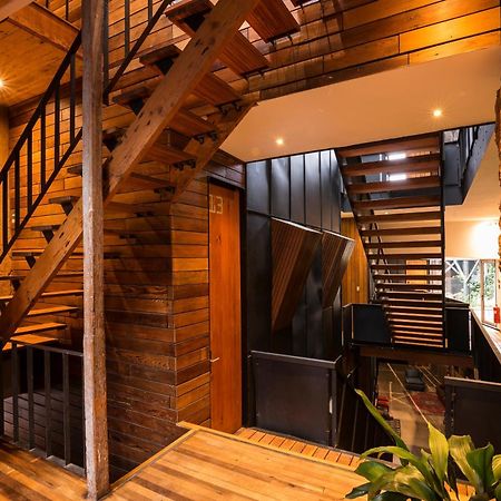 Fauna Hotel Valparaíso Exteriér fotografie