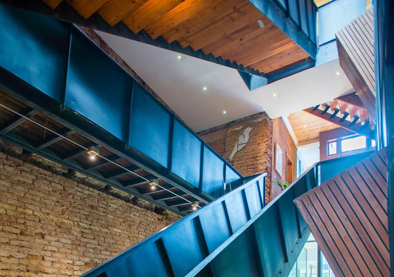 Fauna Hotel Valparaíso Exteriér fotografie